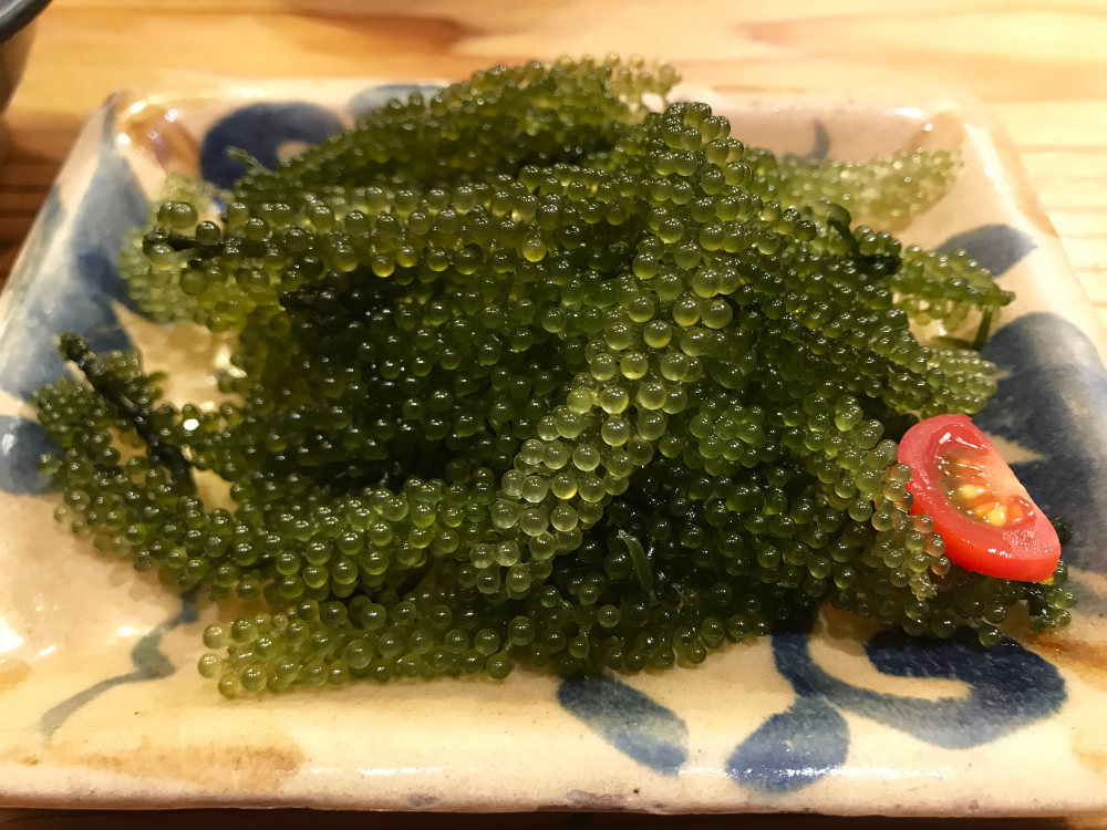 Sử dụng sản phẩm có lợi ích gì